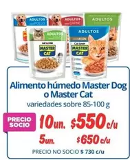 Cat - Alimento Húmedo Master Dog O Master