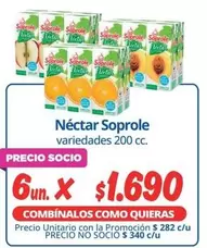 Soprole - Nectar