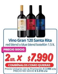 Santa Rita - Vino Gran 120
