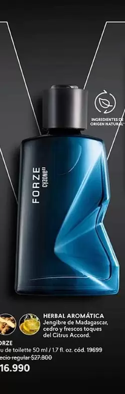 Forze - Rebaja Reserva