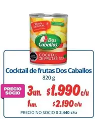 Dos Caballos - Cocktail De Frutas Caballos