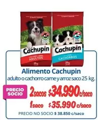 Cachupin - Alimento