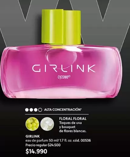 Girlink - Givrlink
