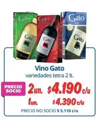 Gato - Vino