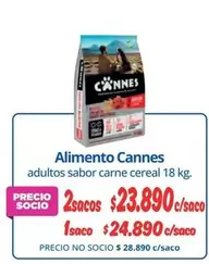 Cannes - Alimento