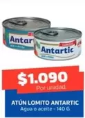 Antartic - Atun Lomito