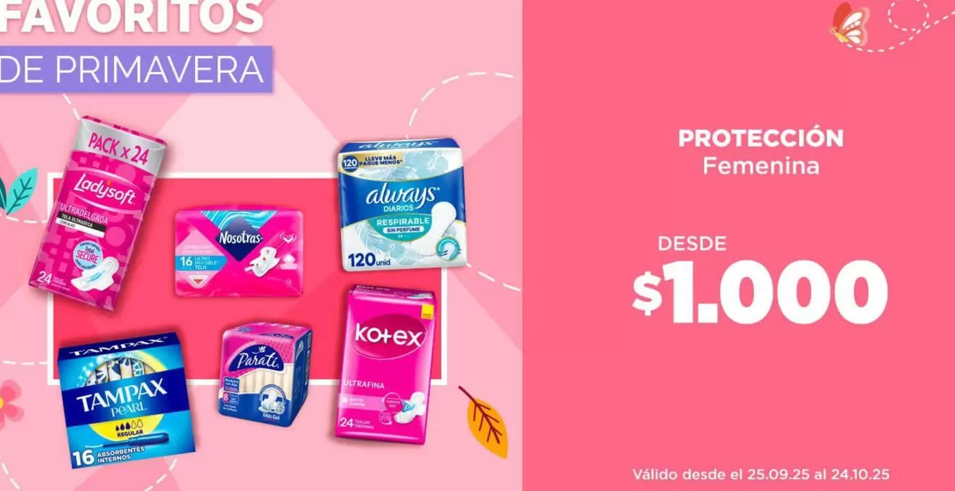 Ladysoft - Protección Femenina
