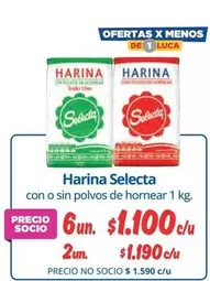 Selecta - Harina