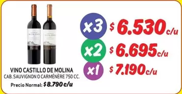 Castillo de Molina - Vino Castillo De Molina
