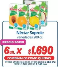 Soprole - Nectar