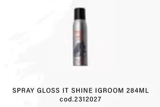 Spray Gloss It Shine Igroom 284ml
