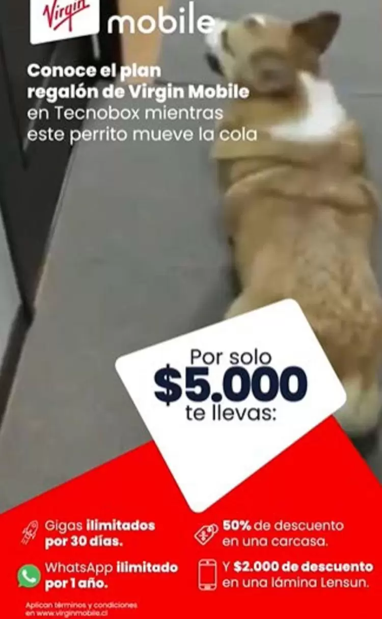 Virgin - Conoce El Plan Regalón De  Mobile En Technobox RinéArt