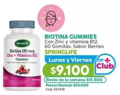 Springlife - Con Zinc Y Vitamina B12
