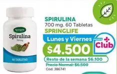 Springlife - Spinalina