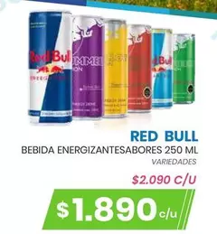 Red Bull - Bebida Energizantesadores