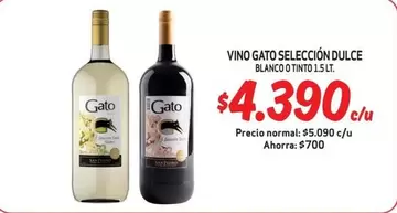 Gato - Vino