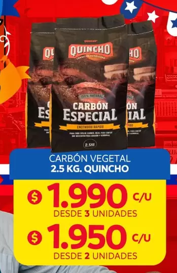 Quincho - Carbón Vegetal