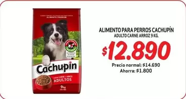Cachupin - Alimento Para Perros Adulto Carne