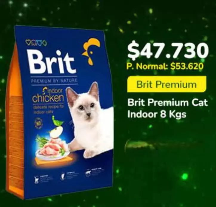 Cat - Brit Premium  Indoor 8 Kgs
