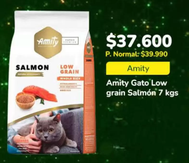 Gato   - Salmon