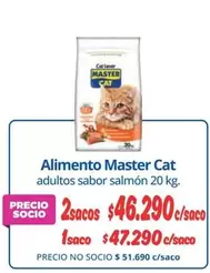 Cat - Alimento Master