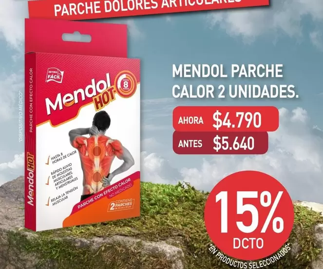 Mendol Parche Calor 2 Unidades