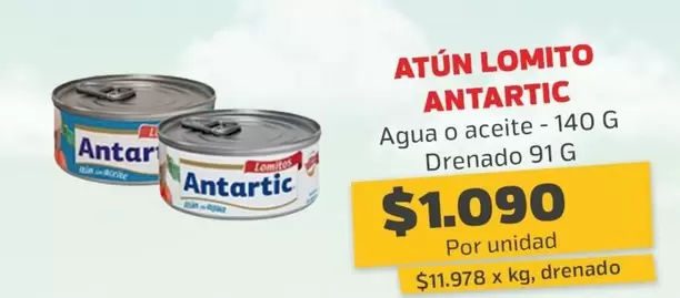 Antartic - Atun Lomito