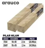 Arauco - Pilar Hilam