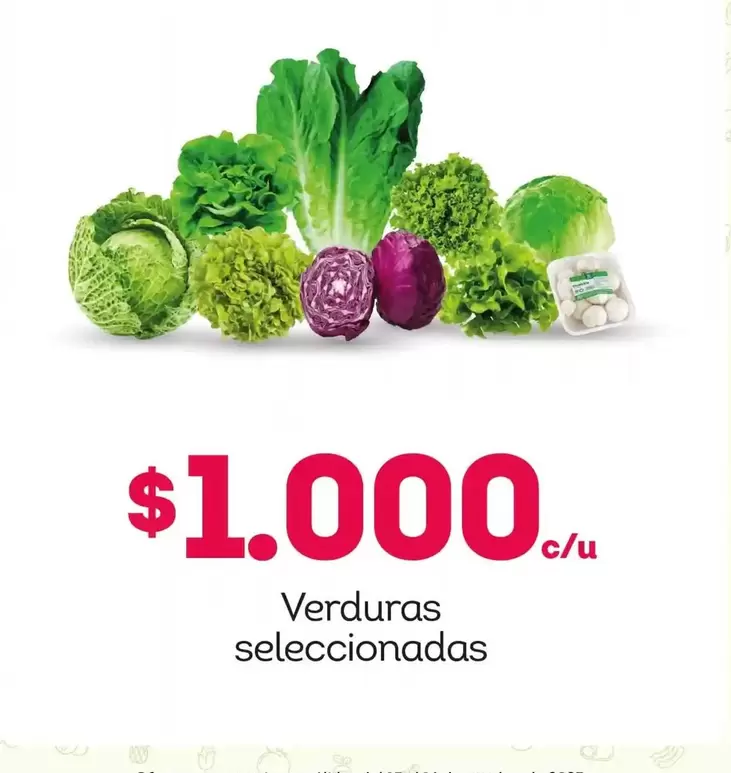Verduras Seleccionadas