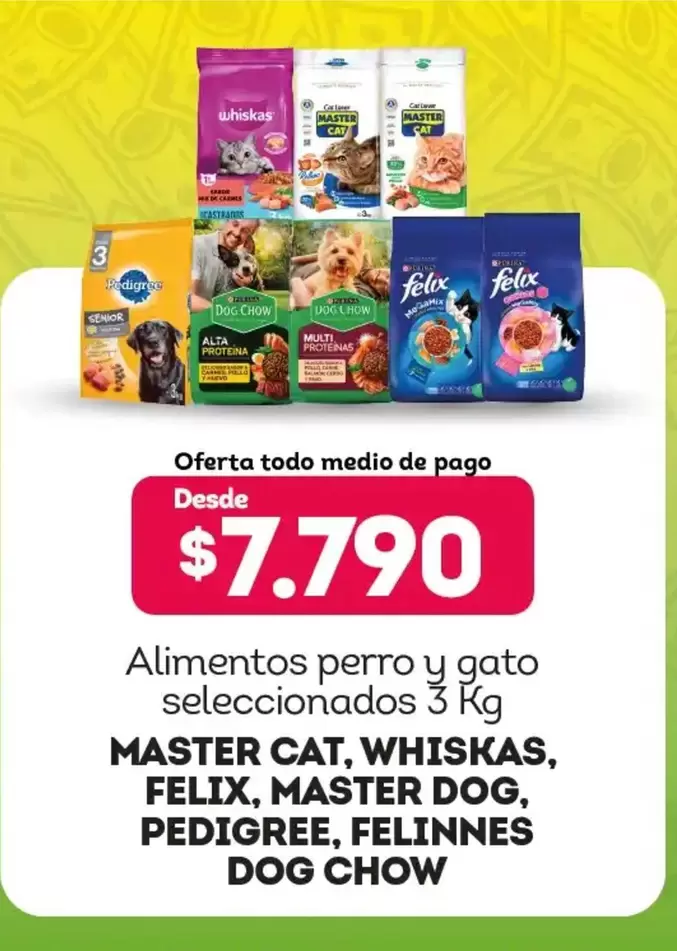 Dog Chow - Alimentos Perro Y Gato Seleccionados