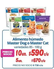 Cat - Alimento Húmedo Master Dog O Master