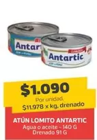 Antartic - Atun Lomito