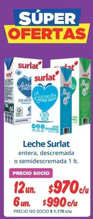 Surlat - Leche