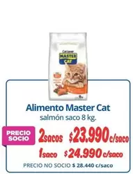 Cat - Alimento Master
