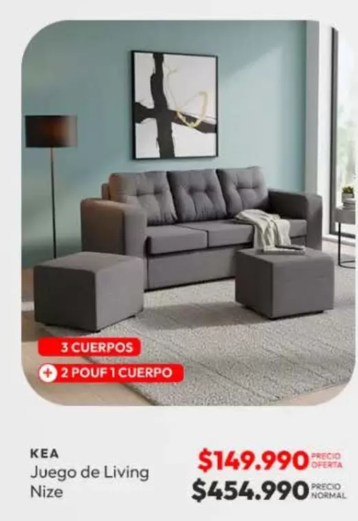 Juego De Living Nize