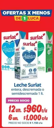 Surlat - Leche