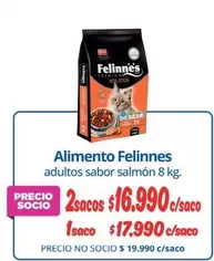 Felinnes - Alimento