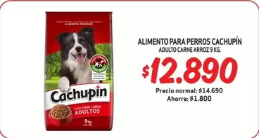 Cachupin - Alimento Para Perros