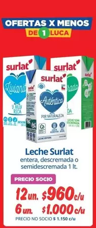 Surlat - Leche