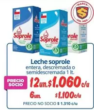 Soprole - Leche
