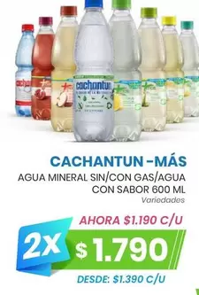 Cachantun - Agua Mineral Sin/con Gas/agua Con Sabor