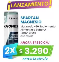 Magnesio +B6 Suplemento Alimenticio Sabor A Limon 310Ml