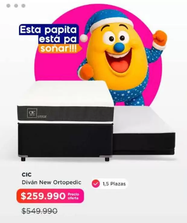 Cic - Divan New Ortopedic