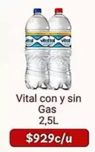 Vital -  Con Y Sin Gas