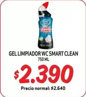 Clean - Gel Limpiador Wc Smart
