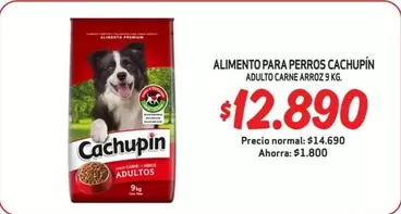 Cachupin - Alimento Para Perros