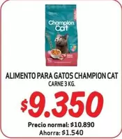 Champion Cat - Alimento Para Gatos