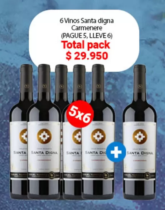 Carmenere - 6 Vinos Santa Digna