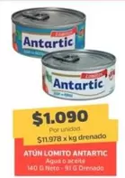 Antartic - Atun Lomito