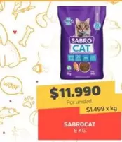 Cat - Sabrocat